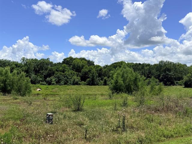 Land for sale in Chappell Hill, Texas