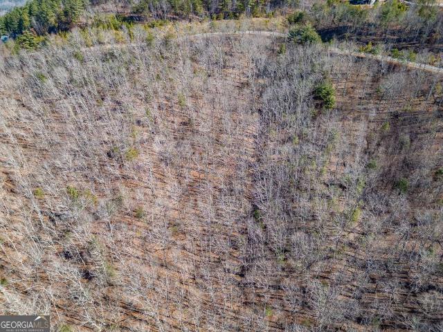 Land for sale in Blairsville, Georgia