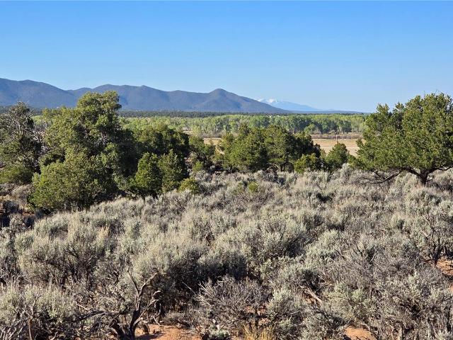 Land for sale in Fort Garland, Colorado