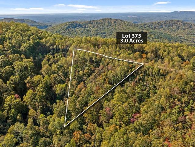 Land for sale in Gilmer, Georgia