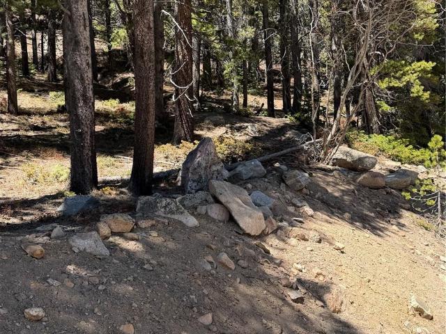 Land for sale in Clear Creek, Colorado