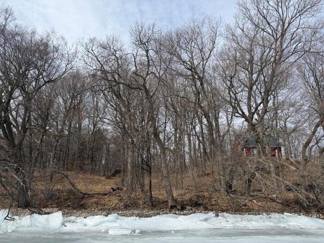 Land for sale in Minnesota