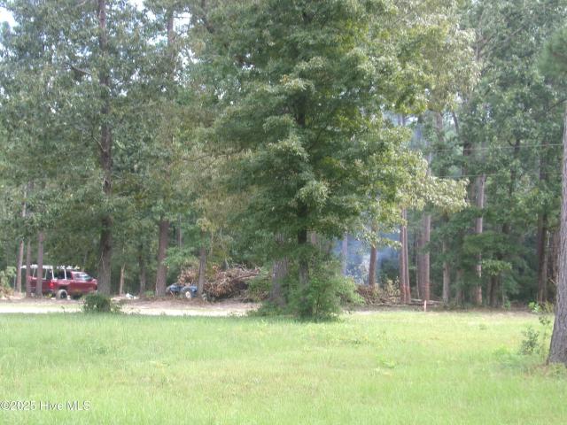 Land for sale in Elizabethtown, Bladen County