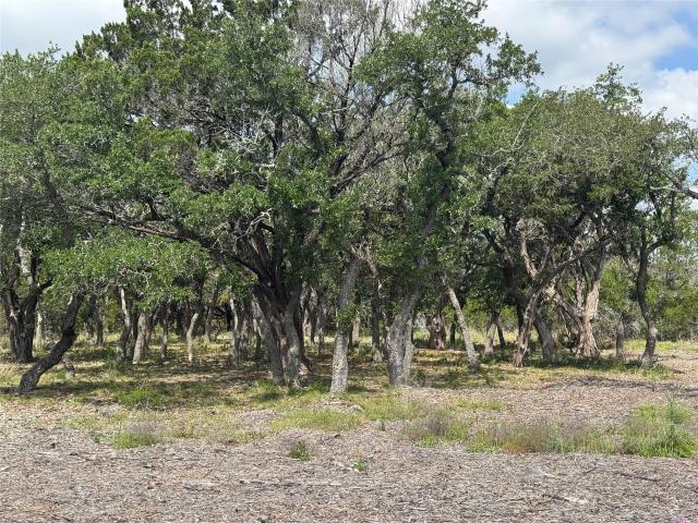 Land for sale in Bertram, Texas