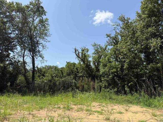 Land for sale in Ark
