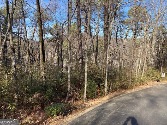 Land for sale in Clarkesville, Georgia