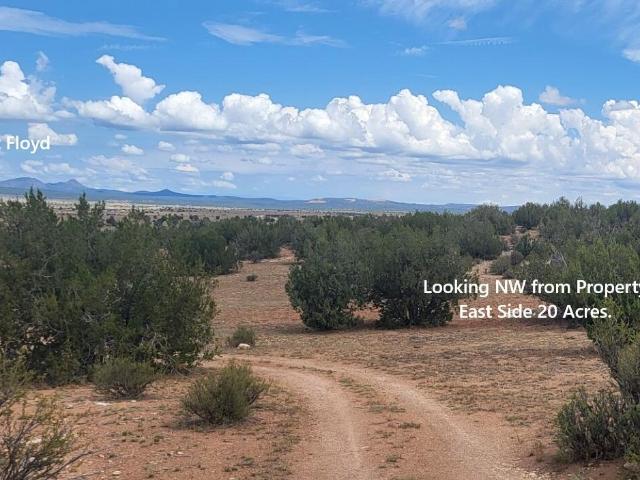 Land for sale in Ash Fork, Arizona