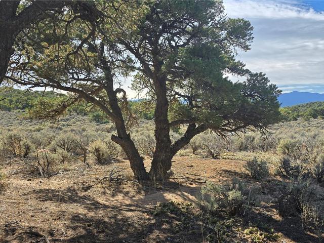 Land for sale in Fort Garland, Colorado