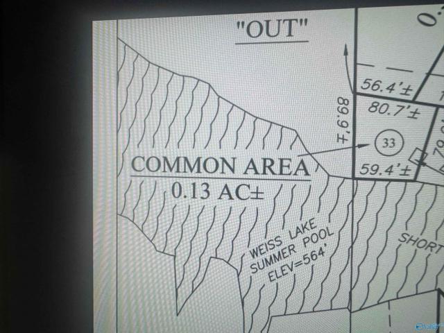 Land for sale in Centre, Alabama