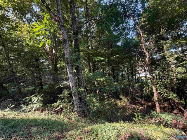 Land for sale in Meadow Wood, Guntersville