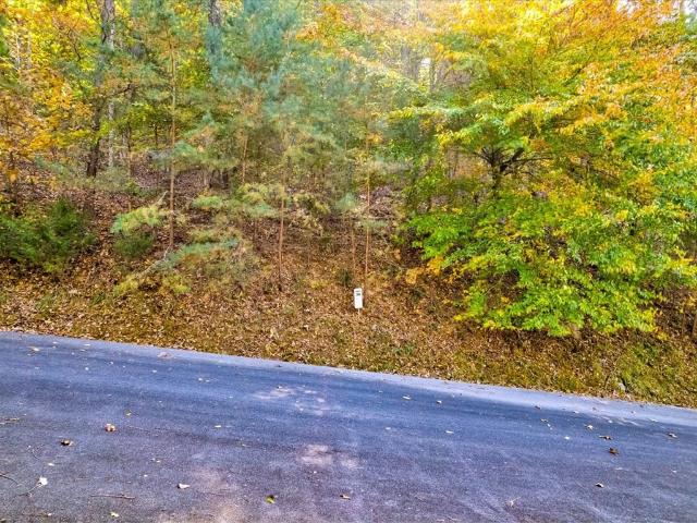 Land for sale in Tennessee