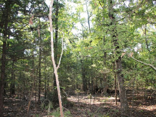 Land for sale in Fairview, Flippin