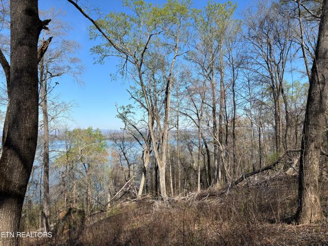 Land for sale in Tennessee