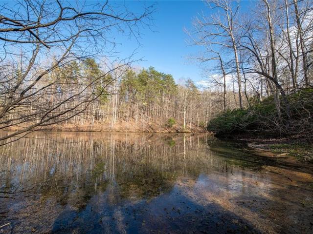 Land for sale in Blanch, North Carolina