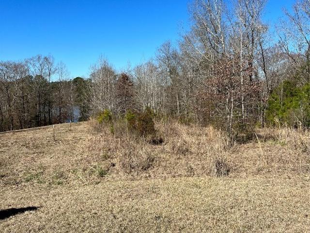 Land for sale in Camden, Alabama