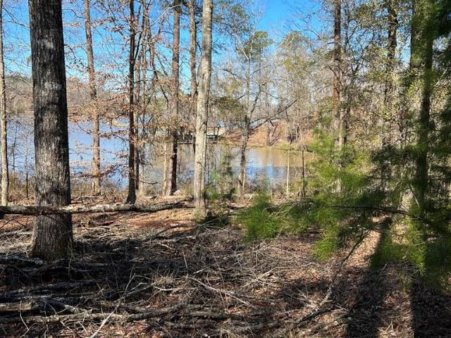 Land for sale in Camden, Alabama