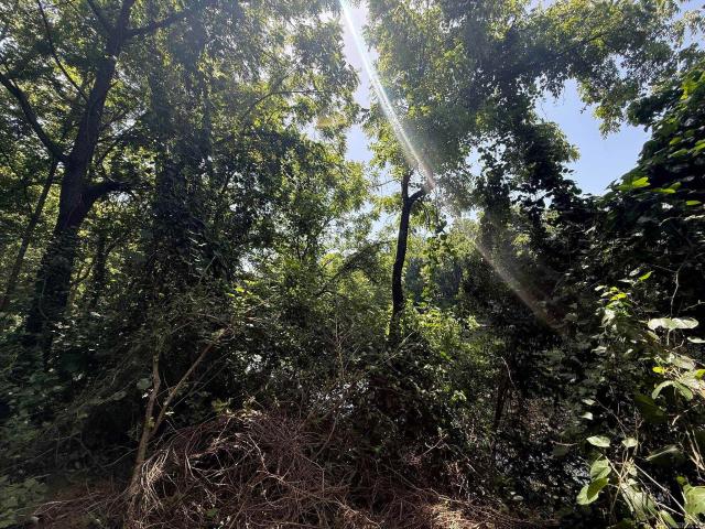 Land for sale in Ark