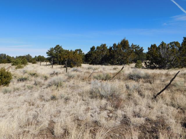 Land for sale in Catron, New Mexico