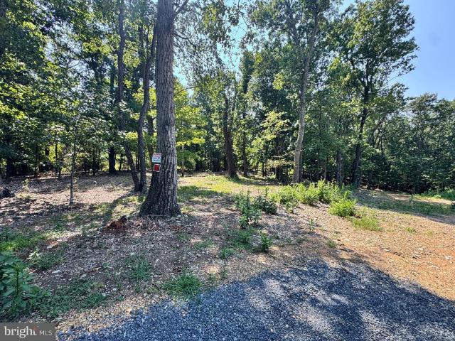 Land for sale in Virginia