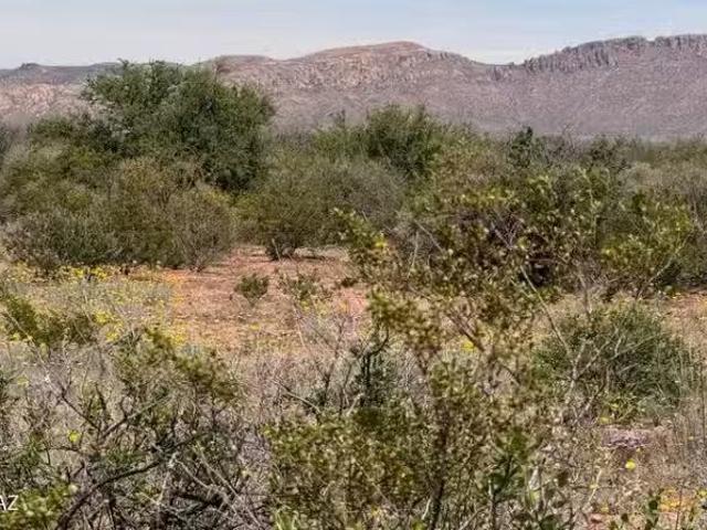 House for rent in Cochise, Arizona