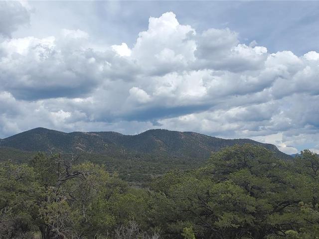 Land for sale in Fort Garland, Costilla County