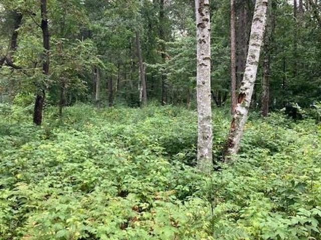 Land for sale in Breezy Point, Crow Wing County