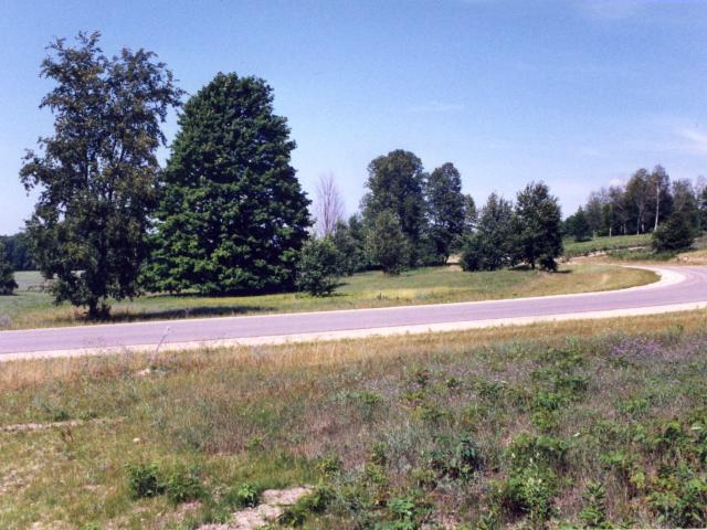 Land for sale in Michigan