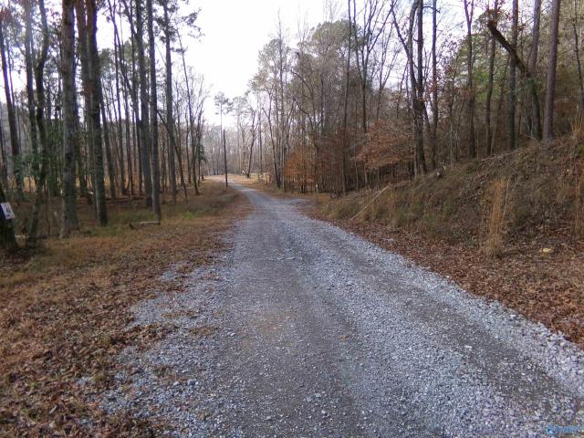 Land for sale in Cedar Bluff, Alabama