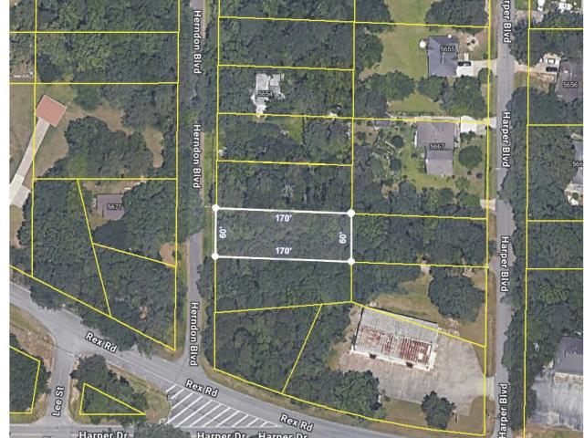 Land for sale in Clayton, Georgia