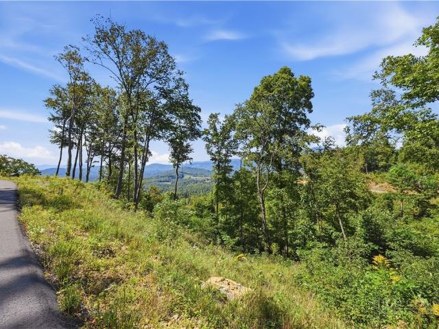 Land for sale in Newland, Avery County