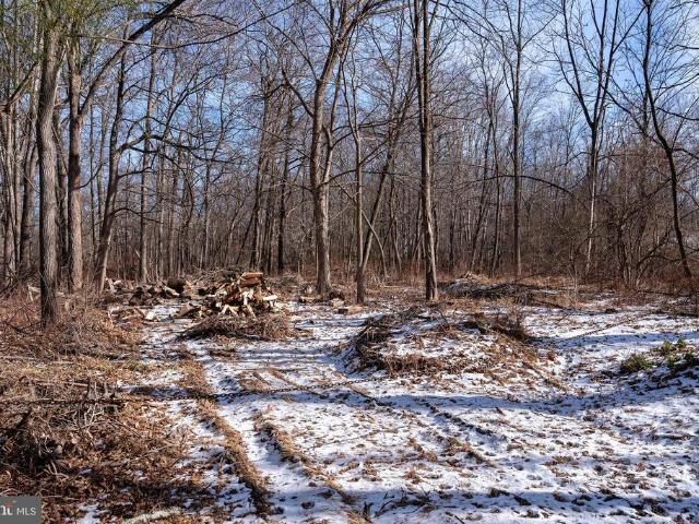 Land for sale in Skillman, New Jersey