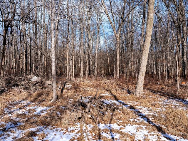 Property for sale in Skillman, New Jersey