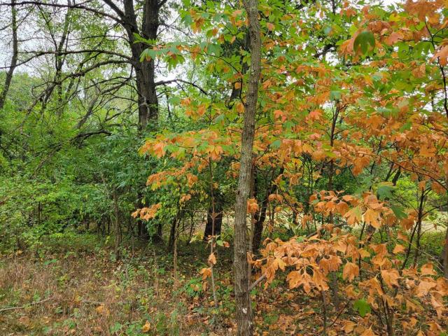 Land for sale in Lake Village, Indiana