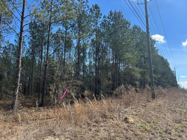 Land for sale in Cottonwood, Alabama