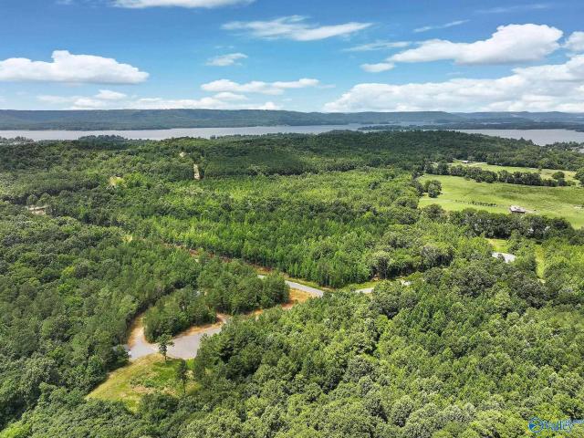 Land for sale in Langston, Alabama