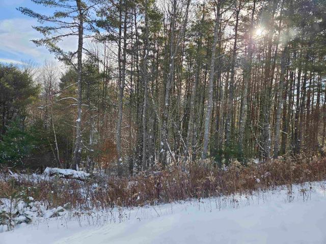 Land for sale in New Hampshire