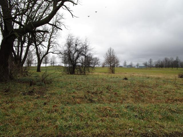 Land for sale in La Plata, Missouri