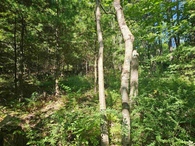 Land for sale in New Hampshire