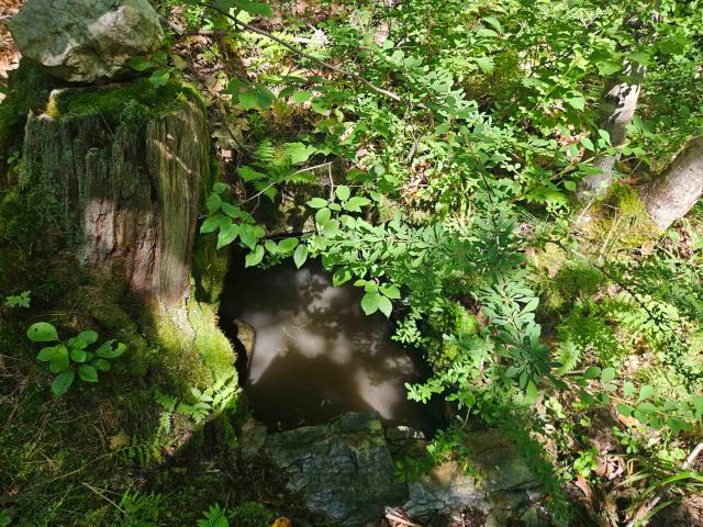 Land for sale in New Hampshire