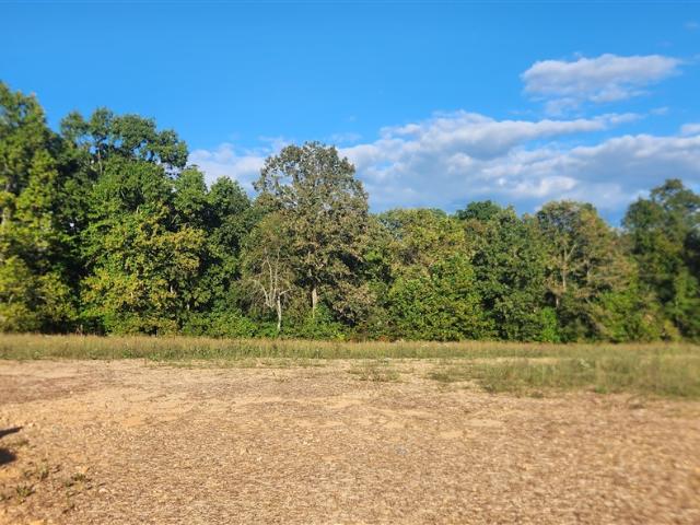 Land for sale in Adolphus, Kentucky