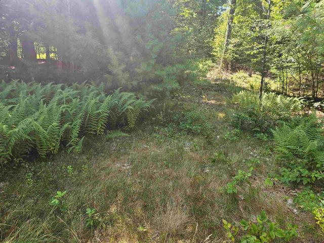 Land for sale in New Hampshire