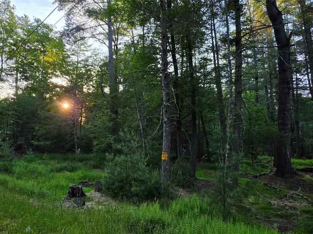 Land for sale in Bethel, New York