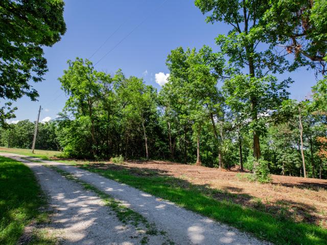Land for sale in Bolivar