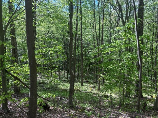 Farm for sale in Mill Run, Pennsylvania