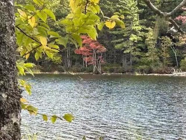 House for sale in New Russell, Nova Scotia