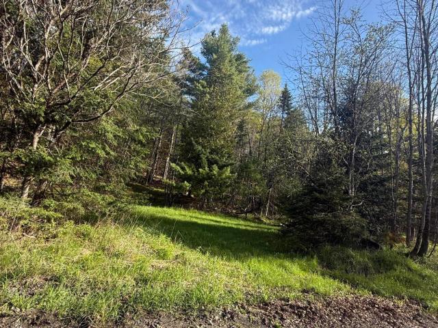 Land for sale in Essex, New York