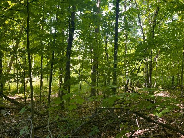 Land for sale in Saint Croix, Wisconsin