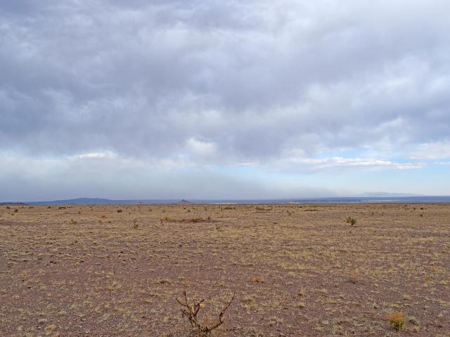 Land for sale in New Mexico