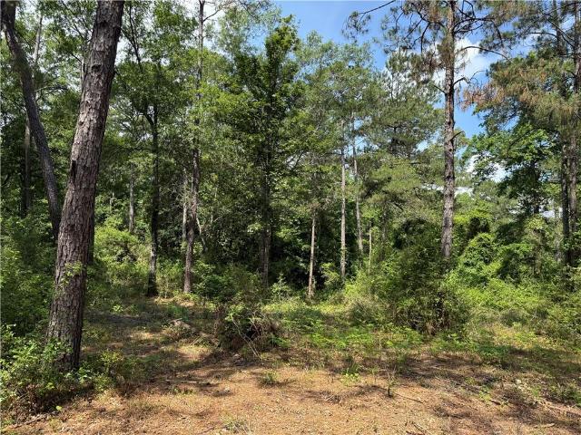 Land for sale in Franklinton, Louisiana