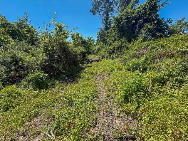 Land for sale in Mingo Junction, Ohio